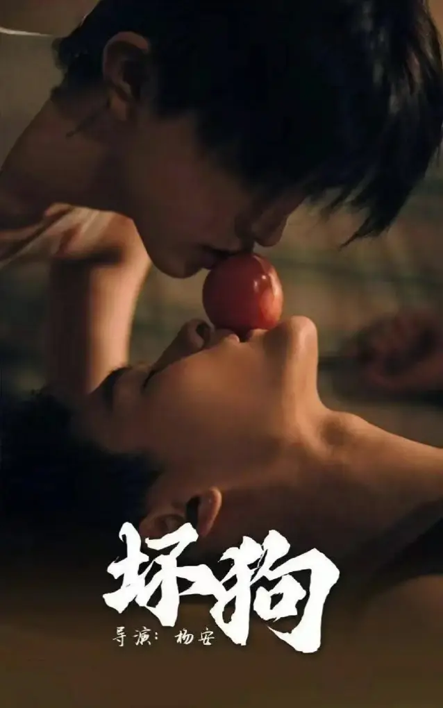 《坏狗》双男主短剧全集播放-2025最新短剧《坏狗》1080P高清无删减-极光影视免费在线观看-夸克云盘迅雷下载资源