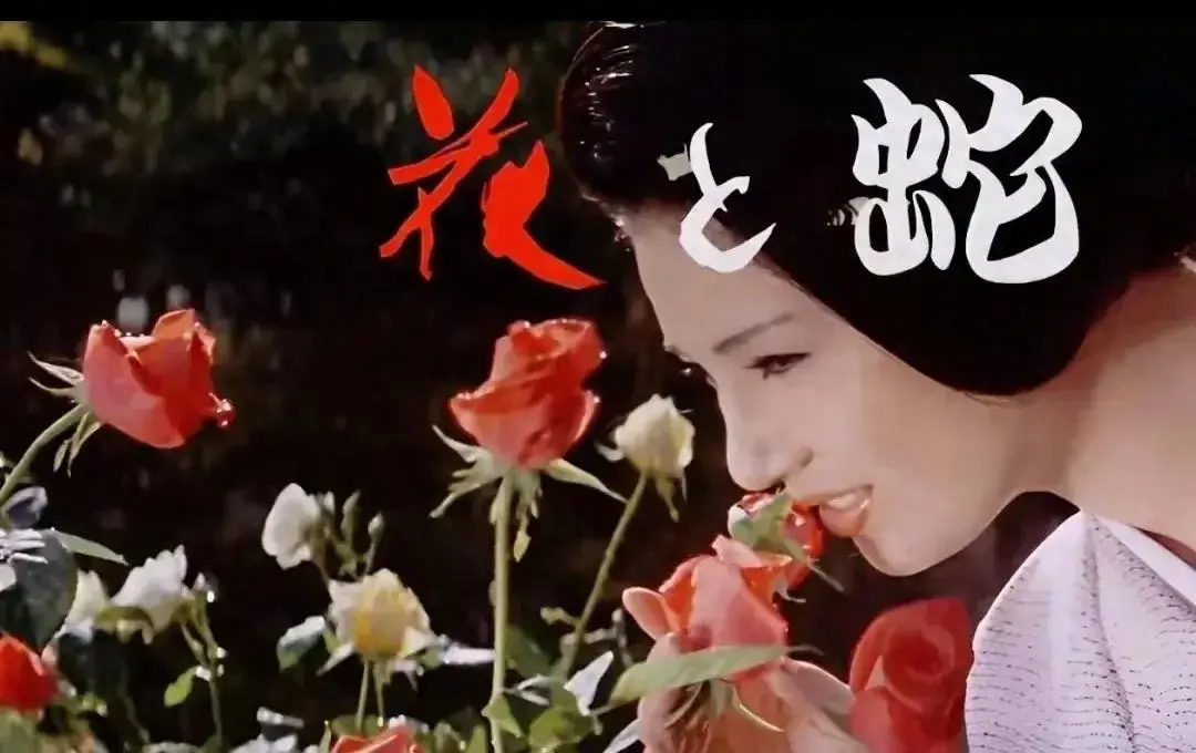 《花与蛇3：白衣绳奴》日本电影未删减完整版 - 1080P高清国语中字 - 蓝光画质免费在线播放