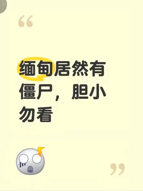 《缅甸僵尸出土事件》高清无删减完整版-缅北神秘事件真相揭秘-缅甸僵尸出土事件现场录像在线免费播放