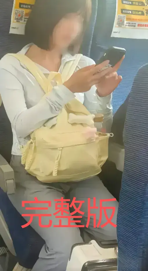 高铁短发女孩原视频60秒完整版-揭秘高铁妹子梗来龙去脉-1080P高清画质资源附带迅雷/阿里云下载-持续追踪后续进展