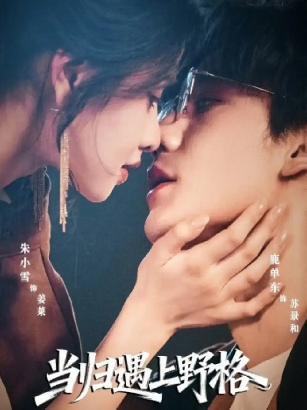 《当归遇上野格》全66集无删减版 - 热门短剧1080P在线看 - 百度网盘资源免费分享