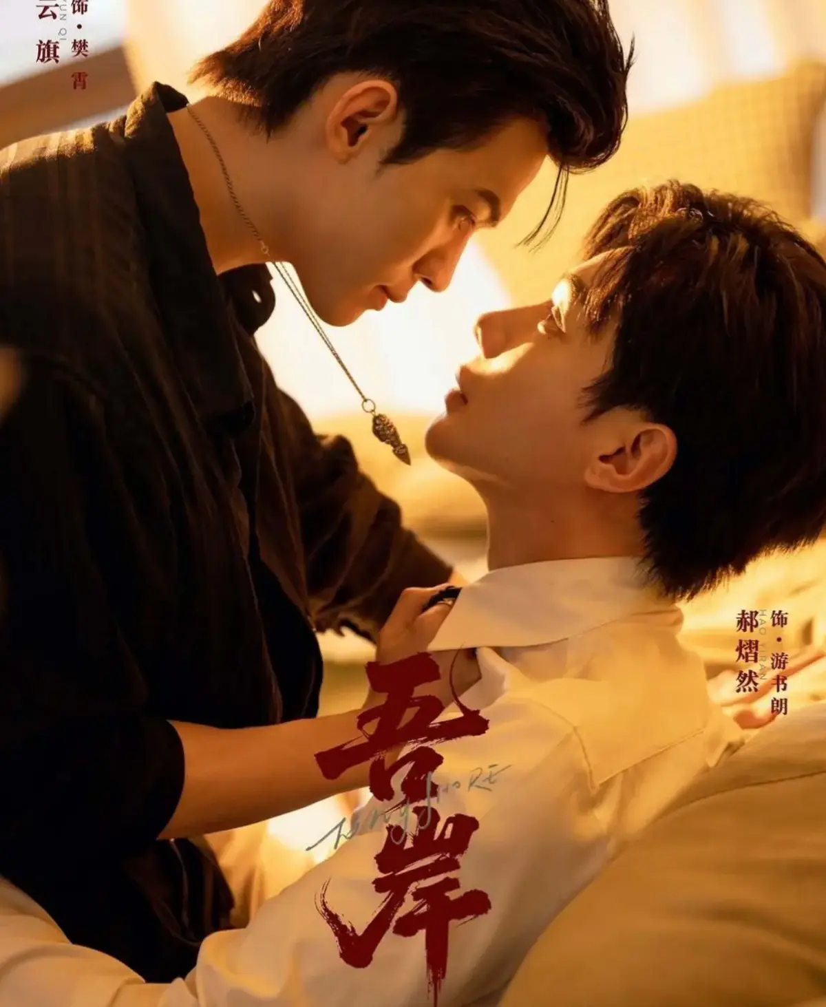 2025高分双男主短剧《吾岸》高清完整版在线观看-无广告免费看全集-吾岸高清资源哪里找-VS影院