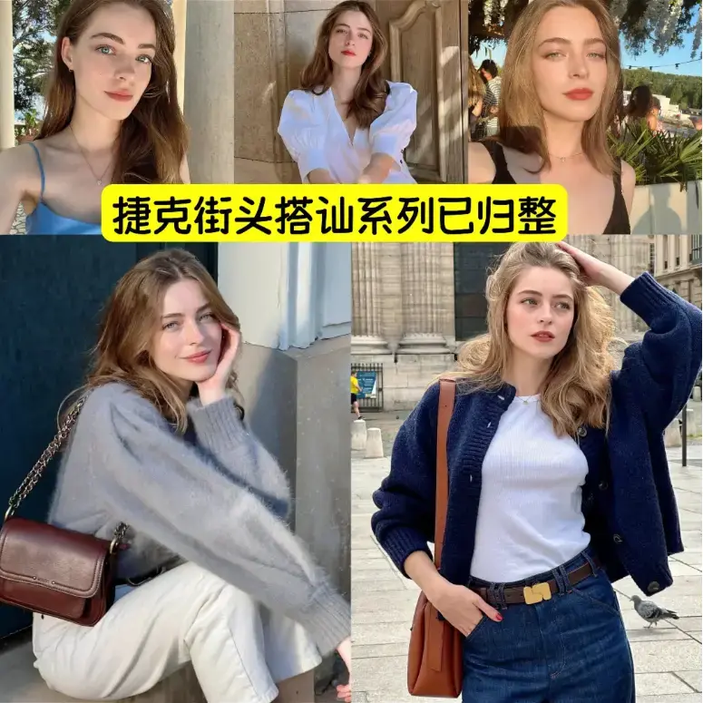 捷克街头系列1-100集1080P高清中字完整版-捷克街头钞能力无删减HD在线观看-免费无广告资源
