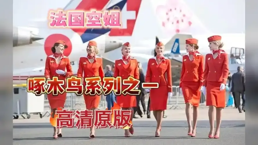 《法国空姐4》免费在线观看-法国空姐4完整版超高清播放-法国空姐1-3季全集高清合集