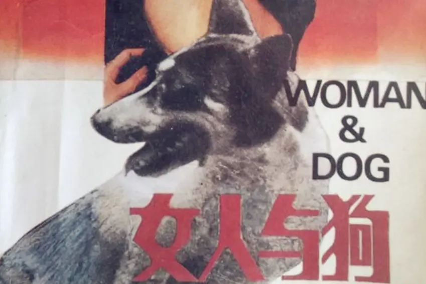 《女人与狗》俄罗斯电影HD高清在线观看-《女人与狗》完整版无删减免费播放-高清画质无广告畅看