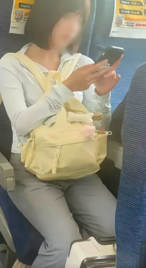 《高铁短发女孩原视频》高清版-54秒高铁女孩完整视频-高铁上的妹子梗出处-网盘资源迅雷下载