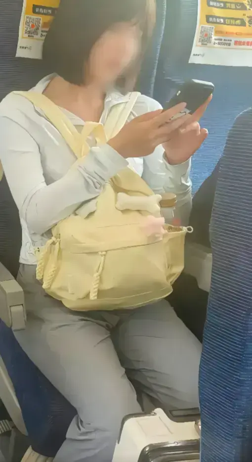 高铁短发女孩54秒原视频完整版在线看-高清无码资源下载-高铁上的妹子梗解析-百度云资源