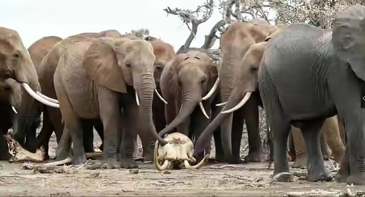 资源图片