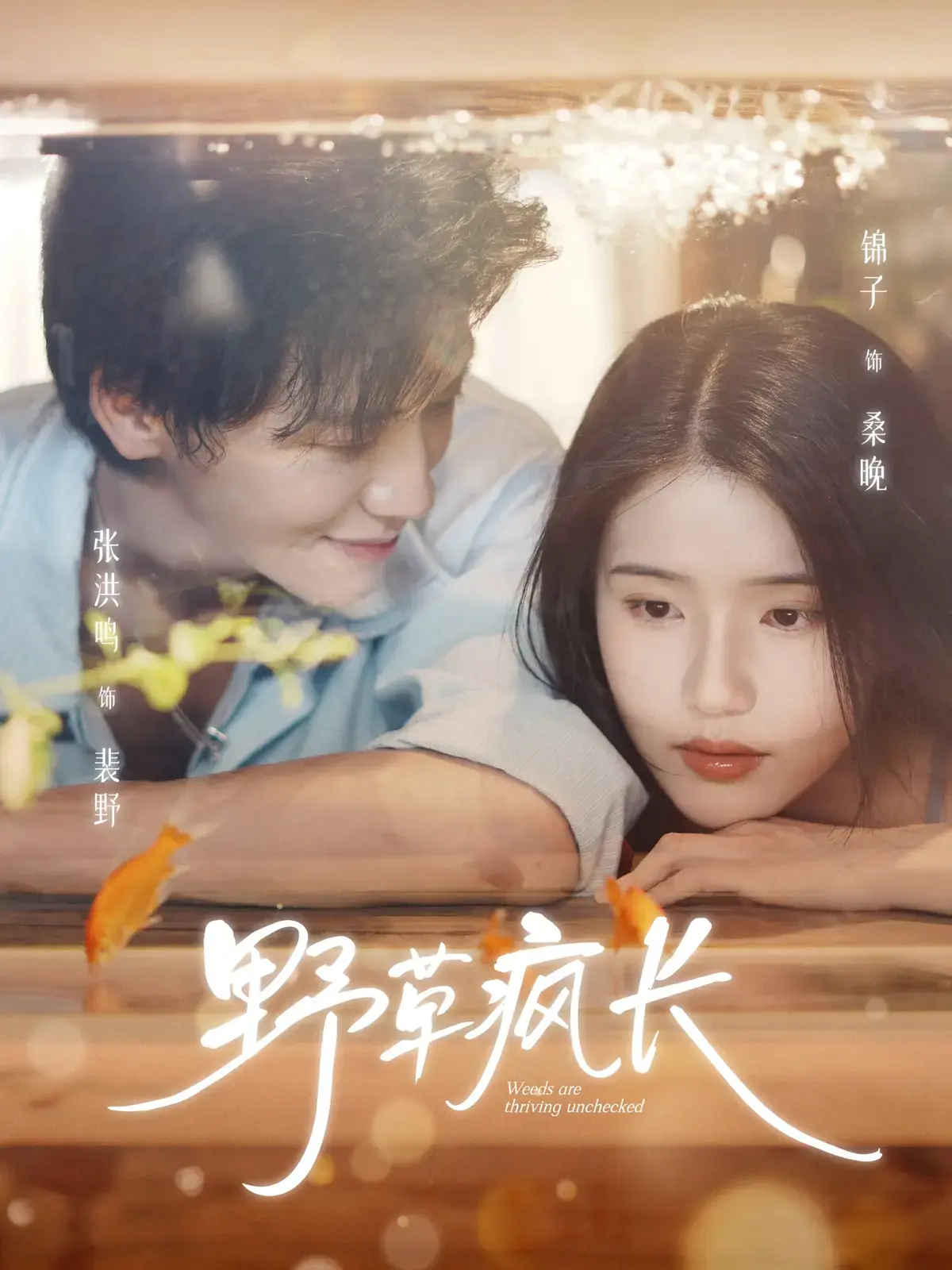 《野草疯长》全集高清播放 - 新番短剧免费在线观看 - 无广告未删减资源 - 网盘下载分享