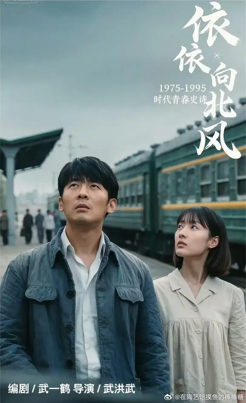 《依依向北风》2025全季无删减在线看-菅纫姿主演国产剧《依依向北风》高清全集-免费观看1080P