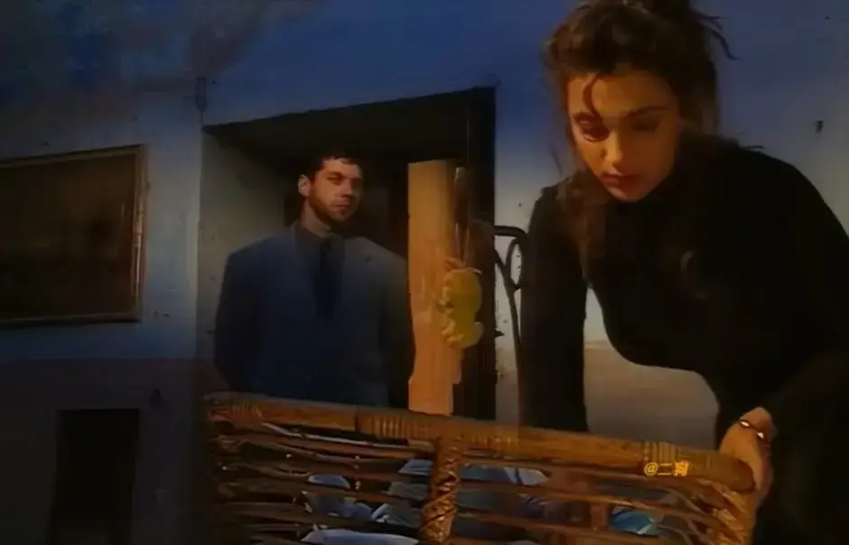 赛仑selen主演《那不勒斯风格的剧本》1994版未删减完整版免费看-意大利经典《Sceneggiata Napoletana》HD高清在线播放-《那不勒斯风格的剧本》蓝光原盘画质-无广告全集网盘资源