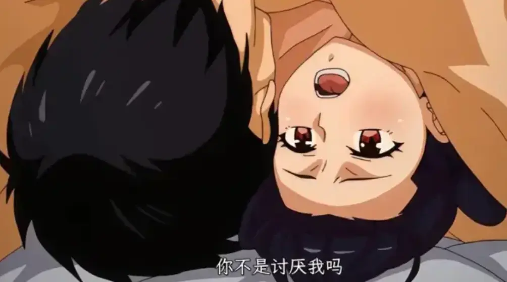 虽然不是自己的菜与讨厌姐姐的超契合1-12集 - 完整版全集高清无删减 - 樱花动漫同步更新 - 百度网盘资源速存