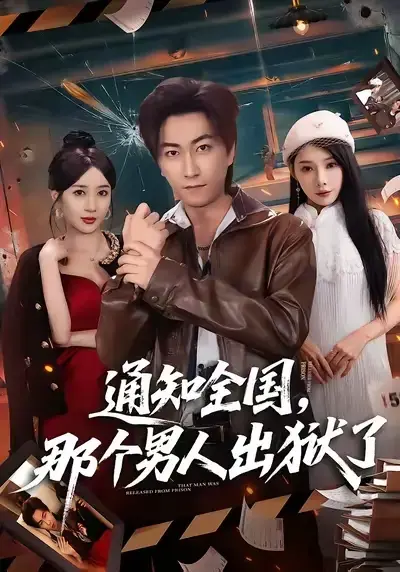《通知全国 那个男人出狱了》1080P完整资源播放-百度网盘资源分享下载