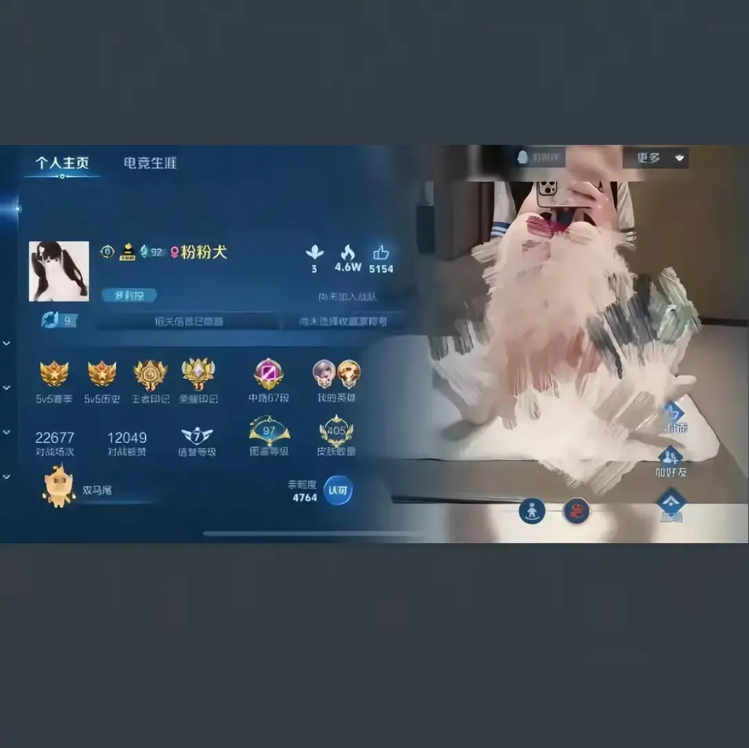 《粉粉犬王者荣耀主页》全皮肤国标视频 - 1080P超清画质 - 免费在线观看无删减版