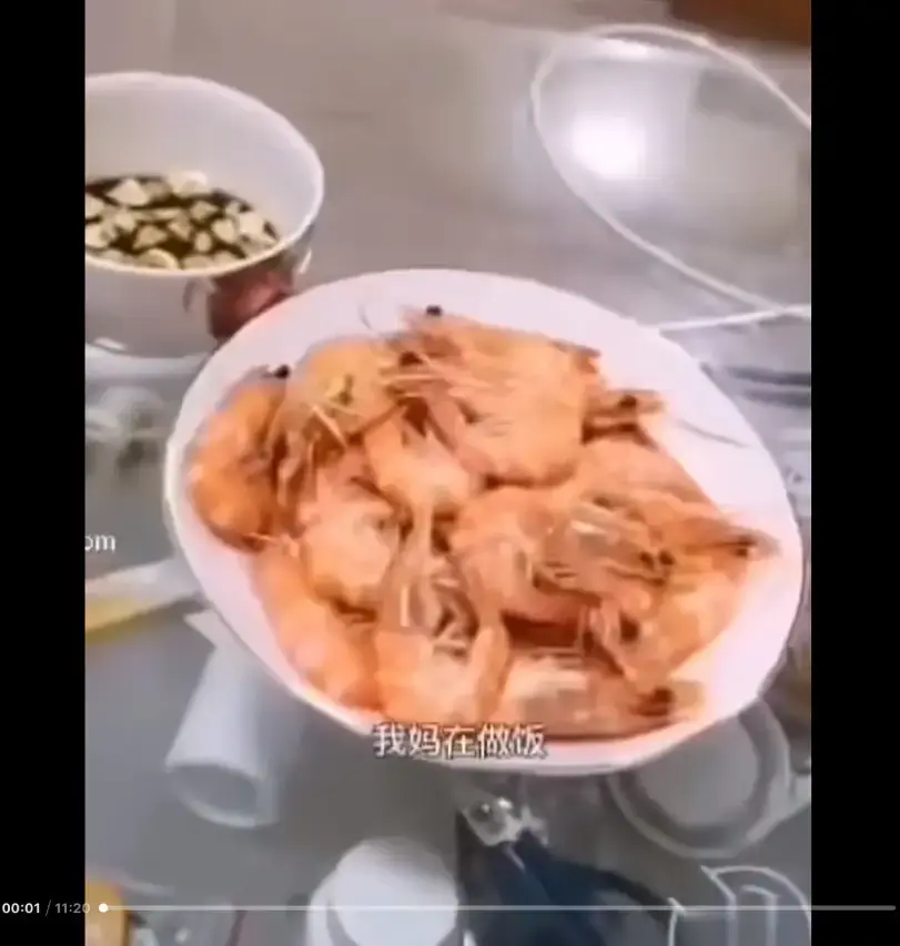 《大虾母子厨房完整版》高清视频揭秘猎奇梗真相-全网资源免费在线观看-百度夸克迅雷网盘同步分享-来龙去脉一看就懂