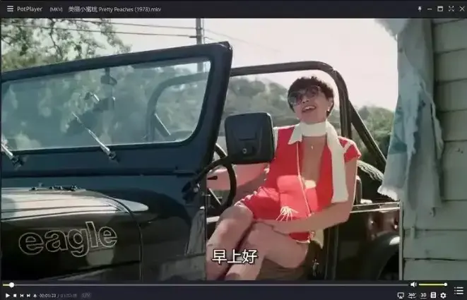 《美丽小蜜桃》高清完整版免费观看-1978年美国喜剧电影无删减在线播放-《美丽小蜜桃》1080P中字资源