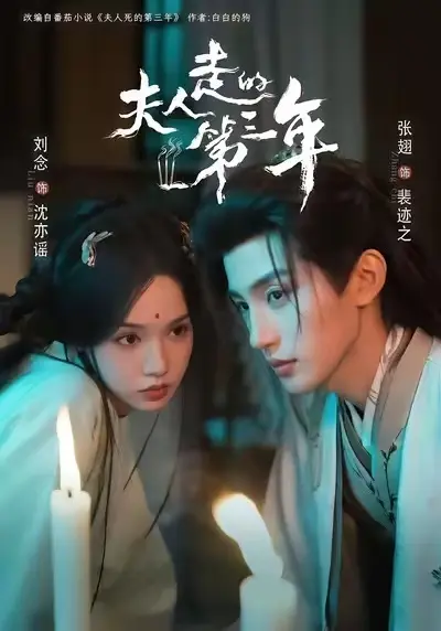 《夫人走的第三年》全季无删减免费播放-夫人走的第三年HD高清完整版在线观看-《夫人走的第三年》未删减版网盘资源分享