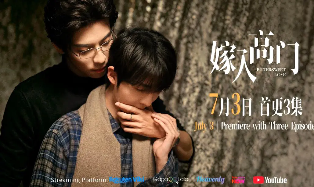 2026新剧《嫁入高门的男人》22集全季无删减观看-双男主爱情剧《嫁入高门的男人》HD高清免费在线播放