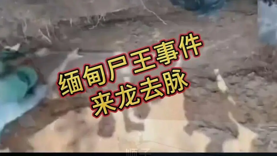 《缅甸僵尸出土事件视频》完整版在线观看-缅北事件始末原视频高清下载-全程录像无删减免费播放