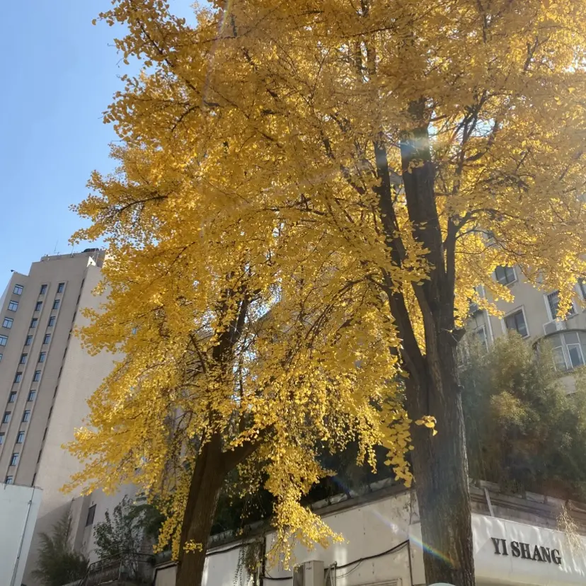 《婚婚逢她》全季无删减免费看-《婚婚逢她》1080P高清完整版在线播放-短剧婚婚逢她网盘资源分享