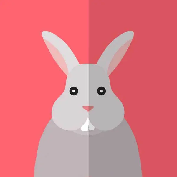 2025最新韩剧《性课程》高清完整版在线观看-性课程全集免费播放-1080P高清画质无删减-韩剧性课程全集资源